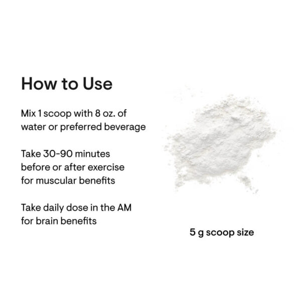 Creatine (Thorne) - Image 4